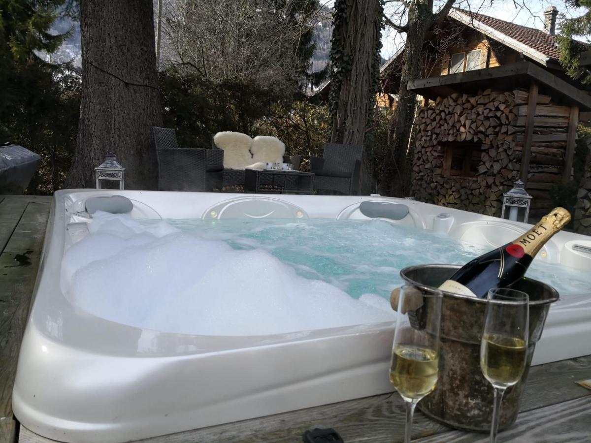 Edelweiss Lodge Wilderswil Εξωτερικό φωτογραφία