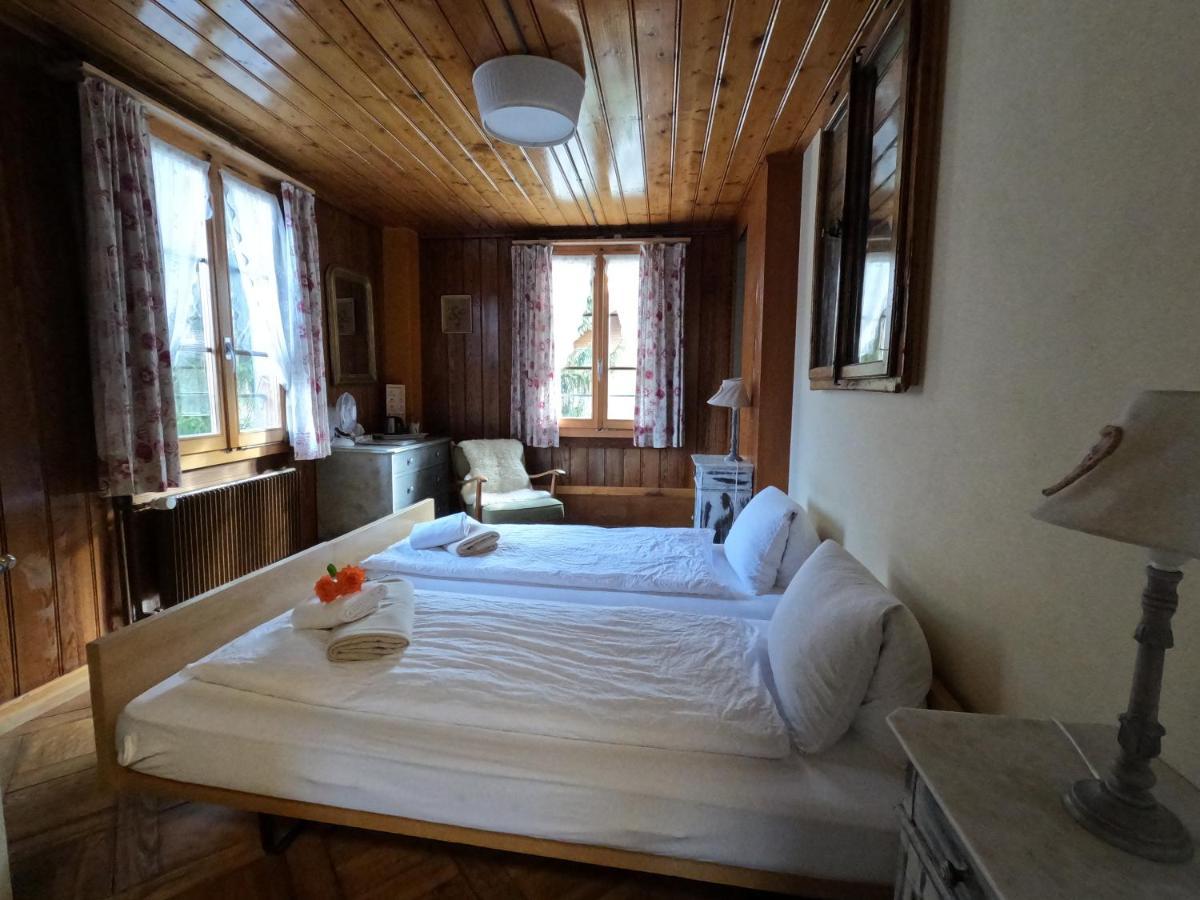 Edelweiss Lodge Wilderswil Εξωτερικό φωτογραφία