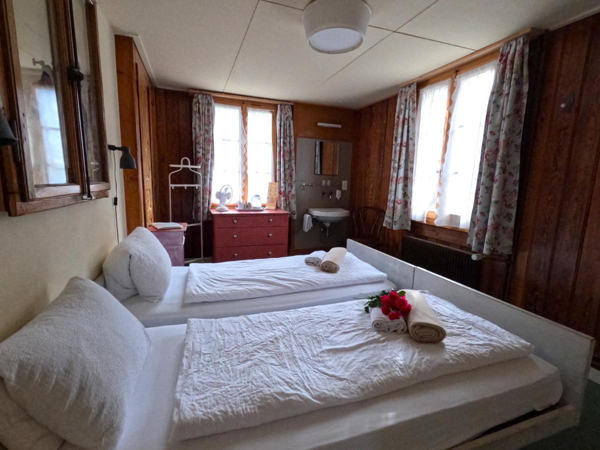 Edelweiss Lodge Wilderswil Εξωτερικό φωτογραφία
