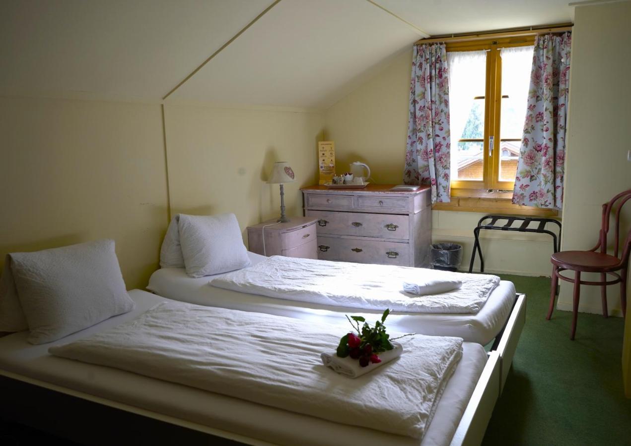 Edelweiss Lodge Wilderswil Εξωτερικό φωτογραφία