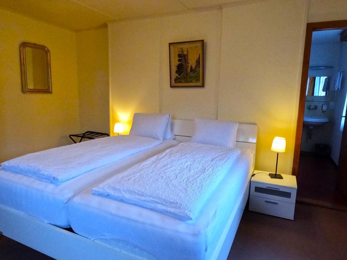 Edelweiss Lodge Wilderswil Εξωτερικό φωτογραφία