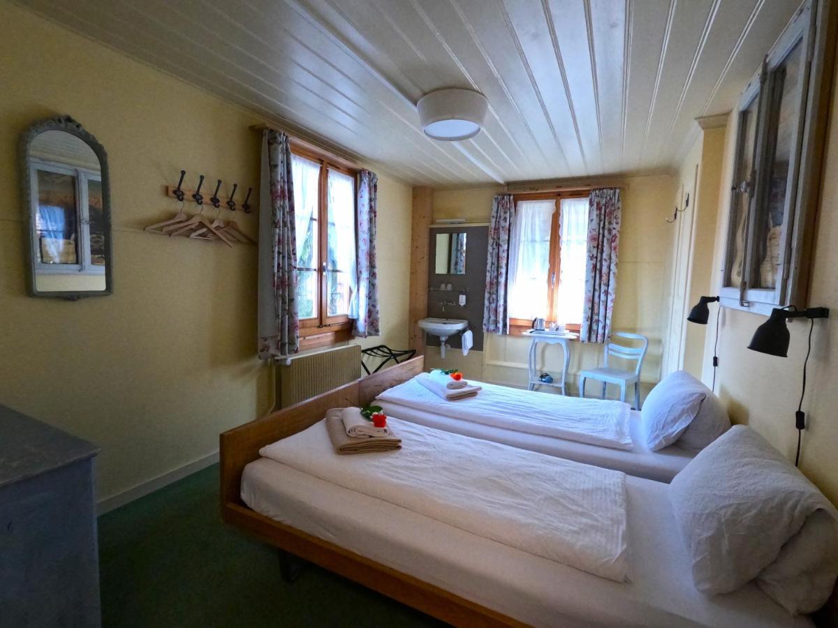 Edelweiss Lodge Wilderswil Εξωτερικό φωτογραφία