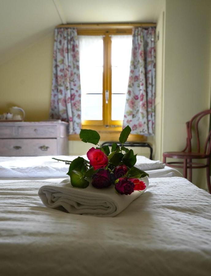 Edelweiss Lodge Wilderswil Εξωτερικό φωτογραφία