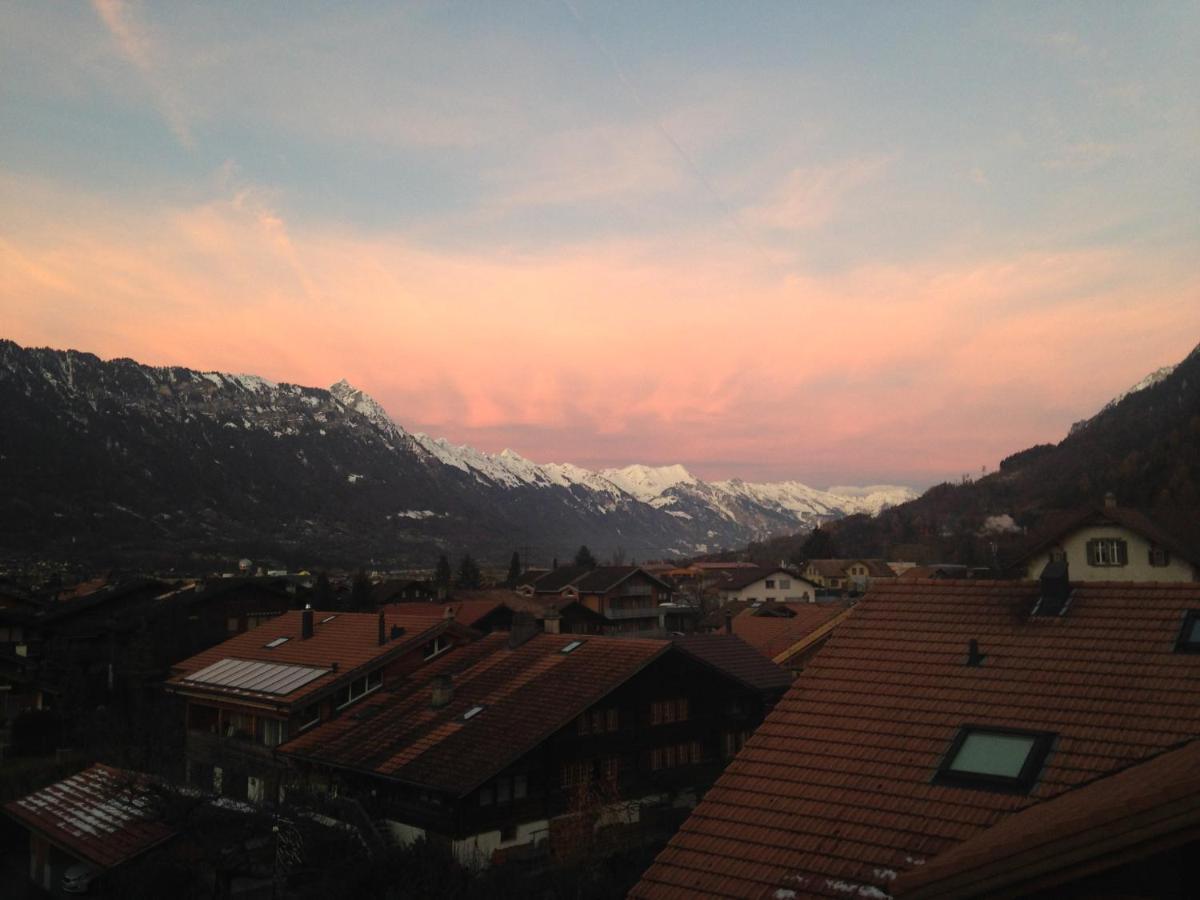 Edelweiss Lodge Wilderswil Εξωτερικό φωτογραφία