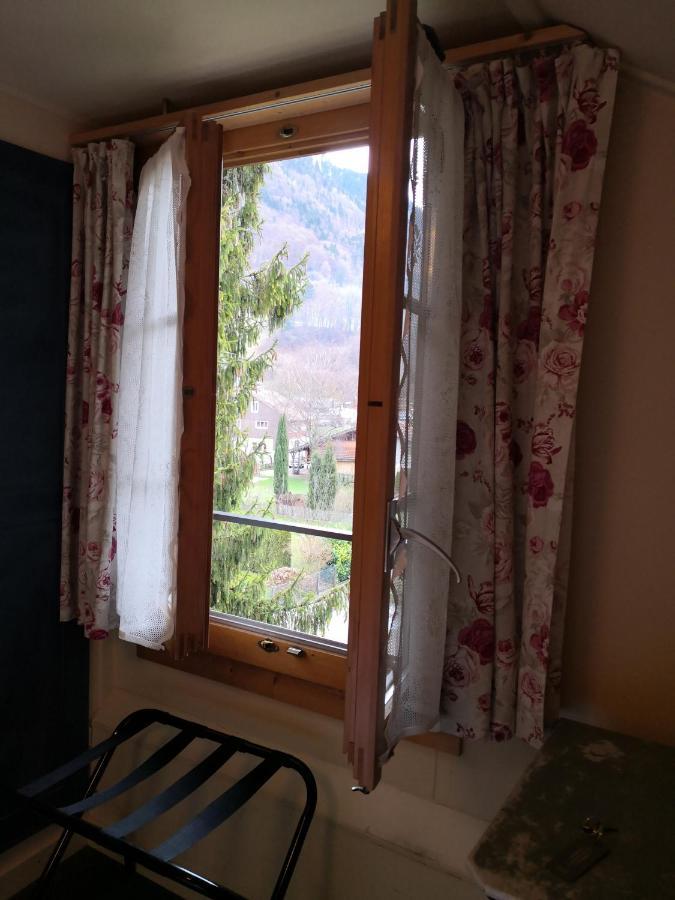 Edelweiss Lodge Wilderswil Εξωτερικό φωτογραφία