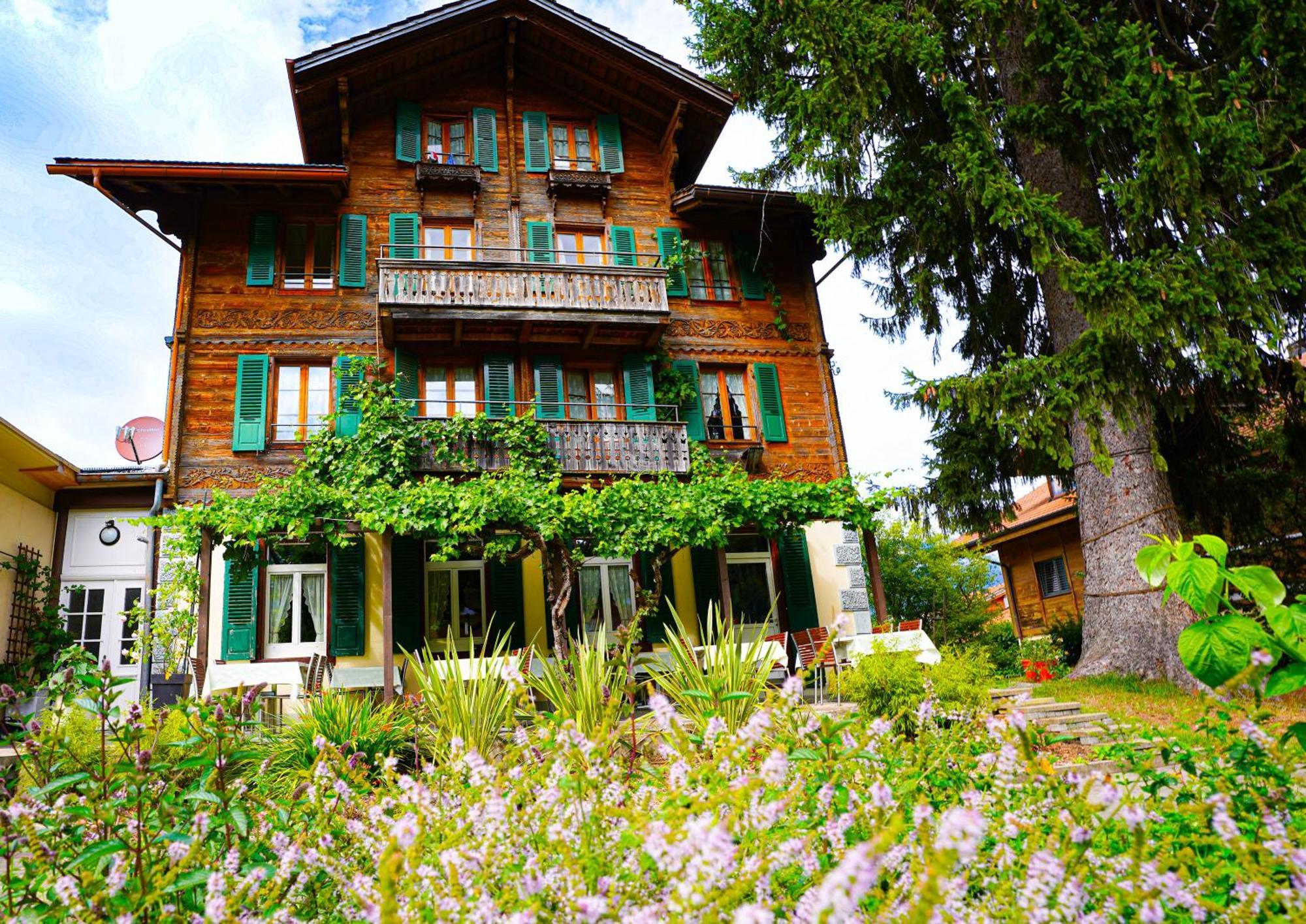 Edelweiss Lodge Wilderswil Εξωτερικό φωτογραφία