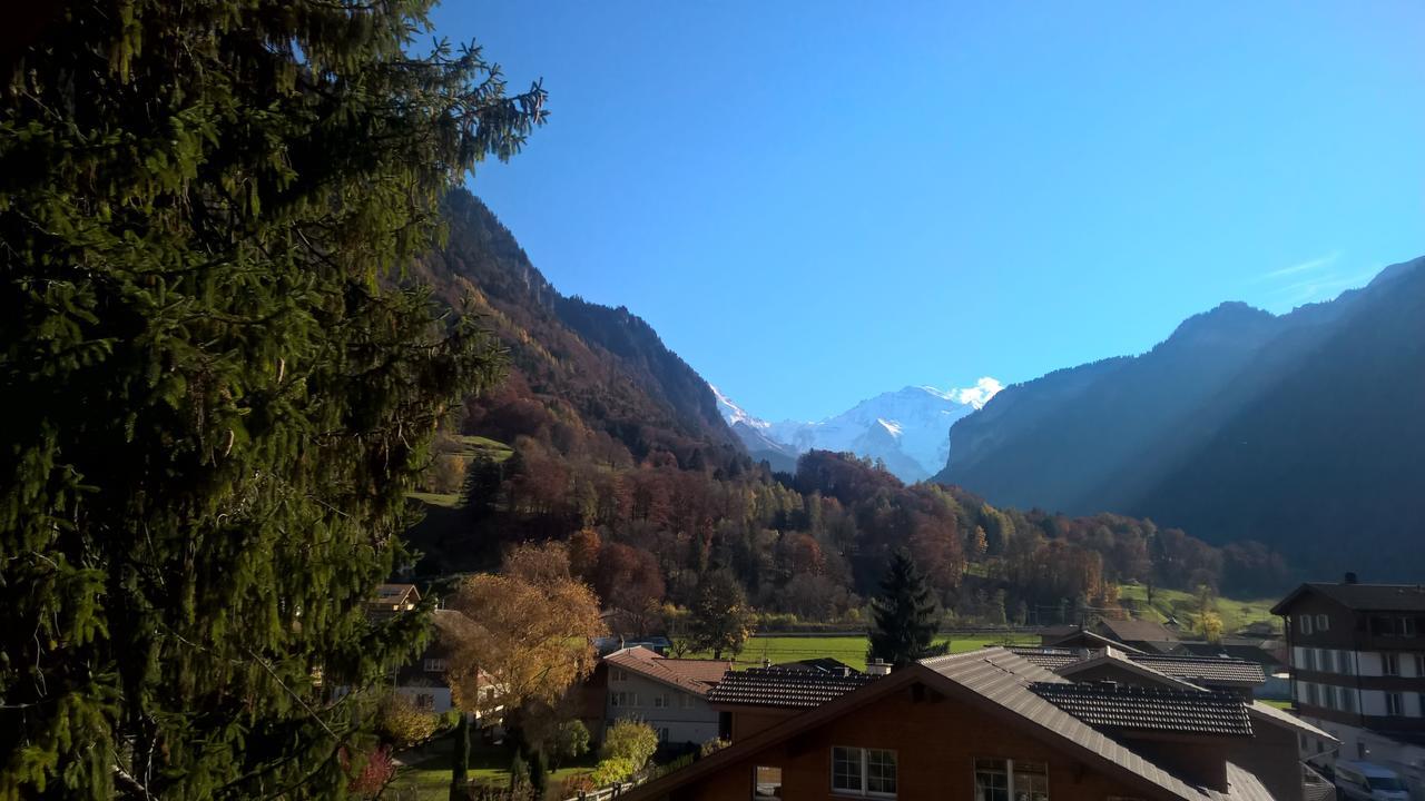 Edelweiss Lodge Wilderswil Δωμάτιο φωτογραφία
