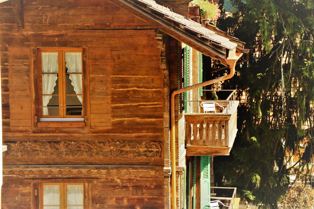 Edelweiss Lodge Wilderswil Εξωτερικό φωτογραφία