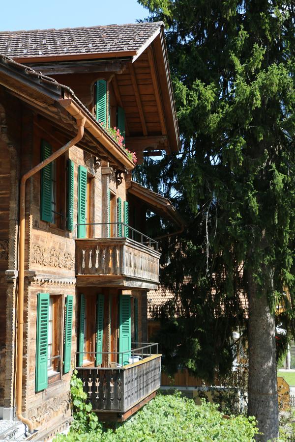 Edelweiss Lodge Wilderswil Εξωτερικό φωτογραφία