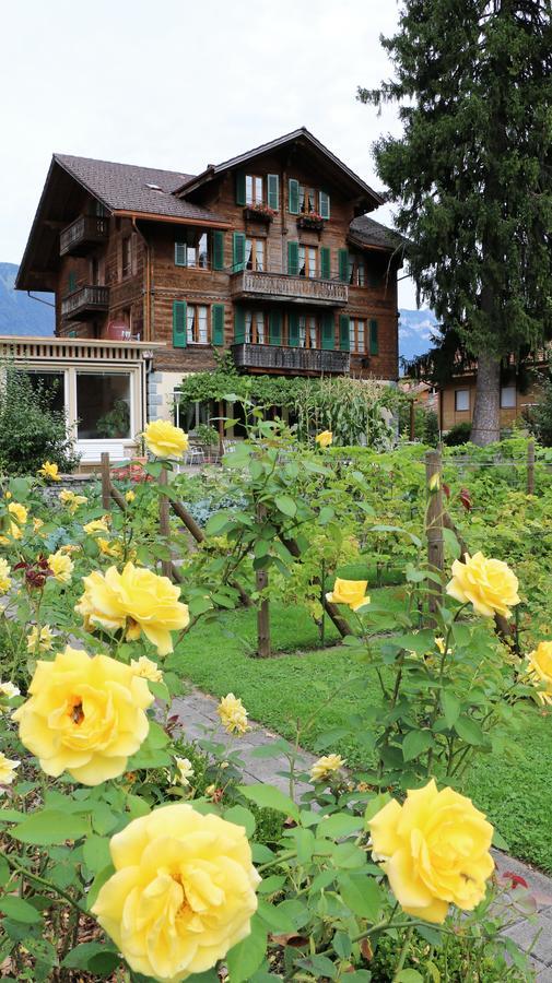 Edelweiss Lodge Wilderswil Εξωτερικό φωτογραφία