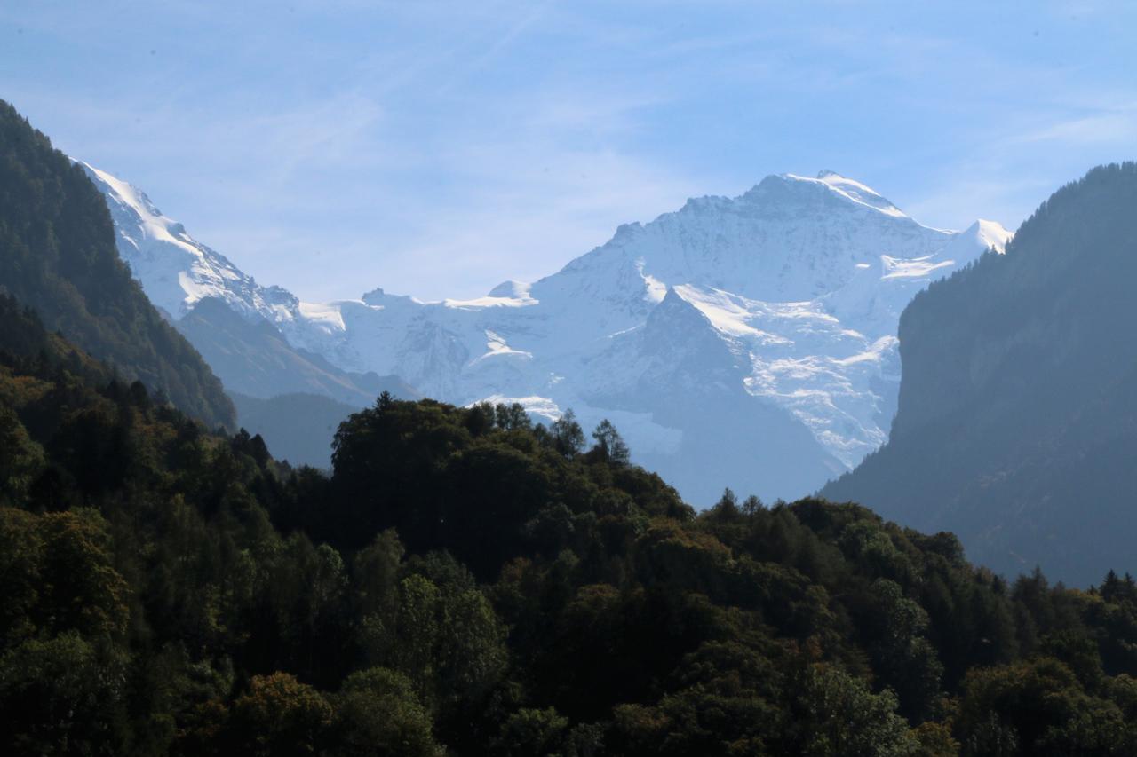Edelweiss Lodge Wilderswil Εξωτερικό φωτογραφία