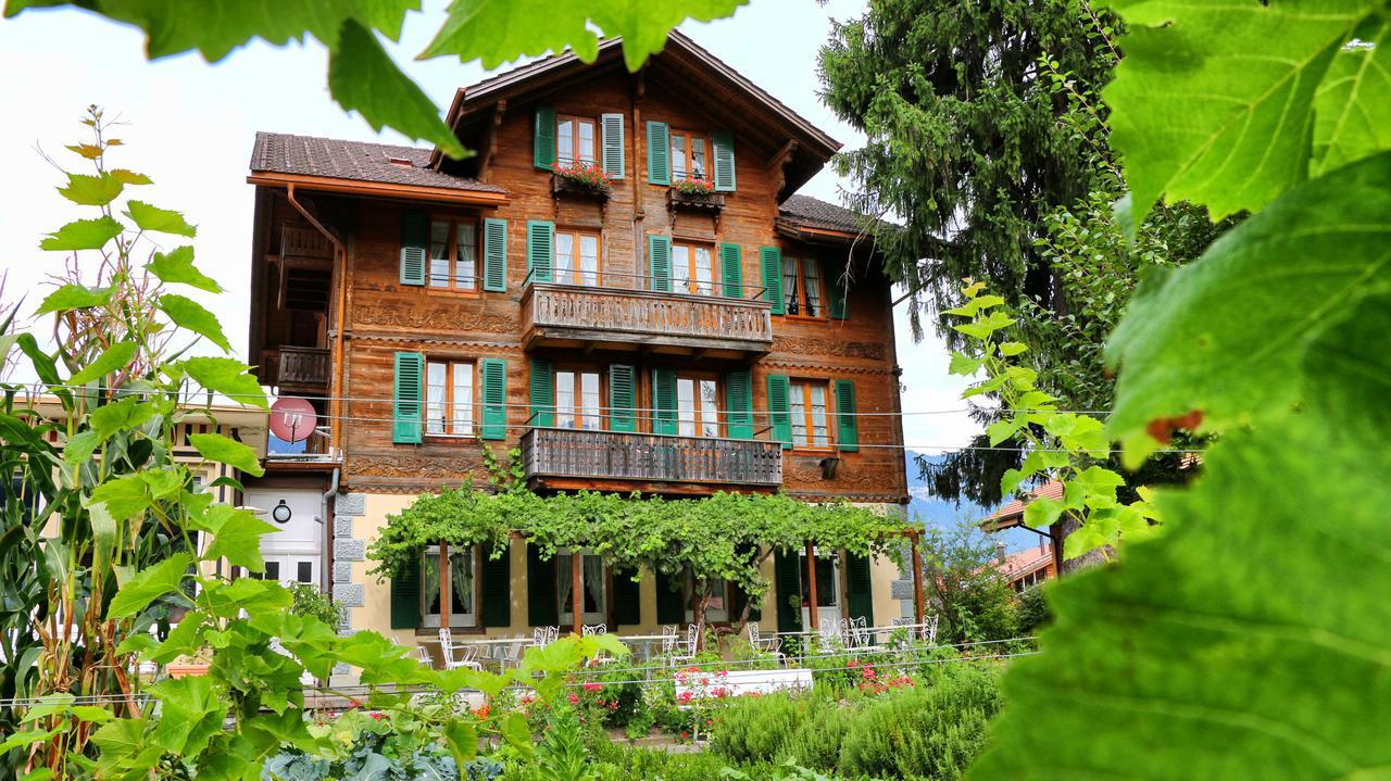 Edelweiss Lodge Wilderswil Εξωτερικό φωτογραφία