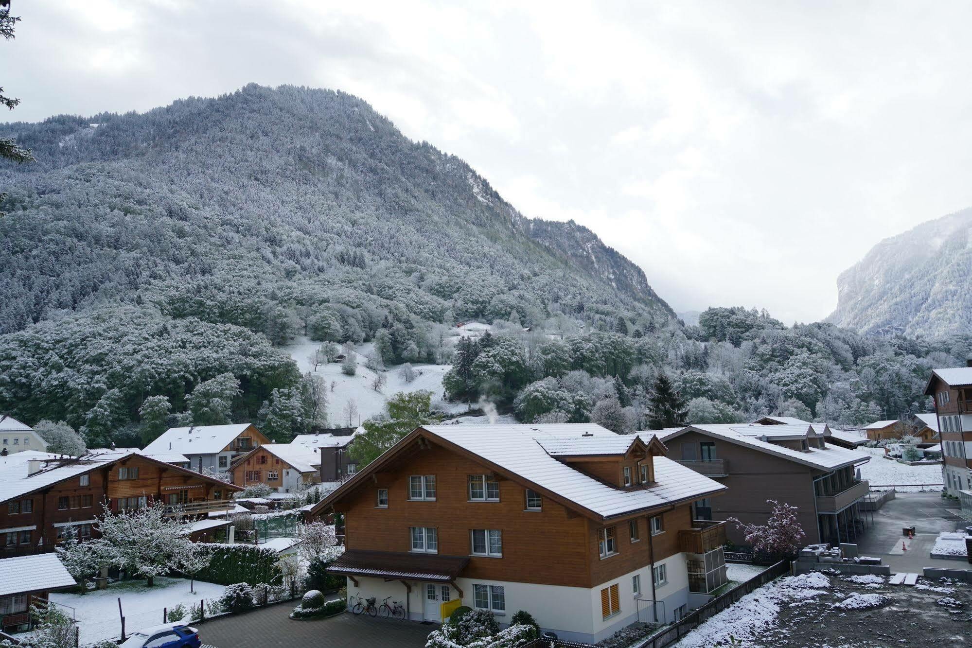 Edelweiss Lodge Wilderswil Εξωτερικό φωτογραφία