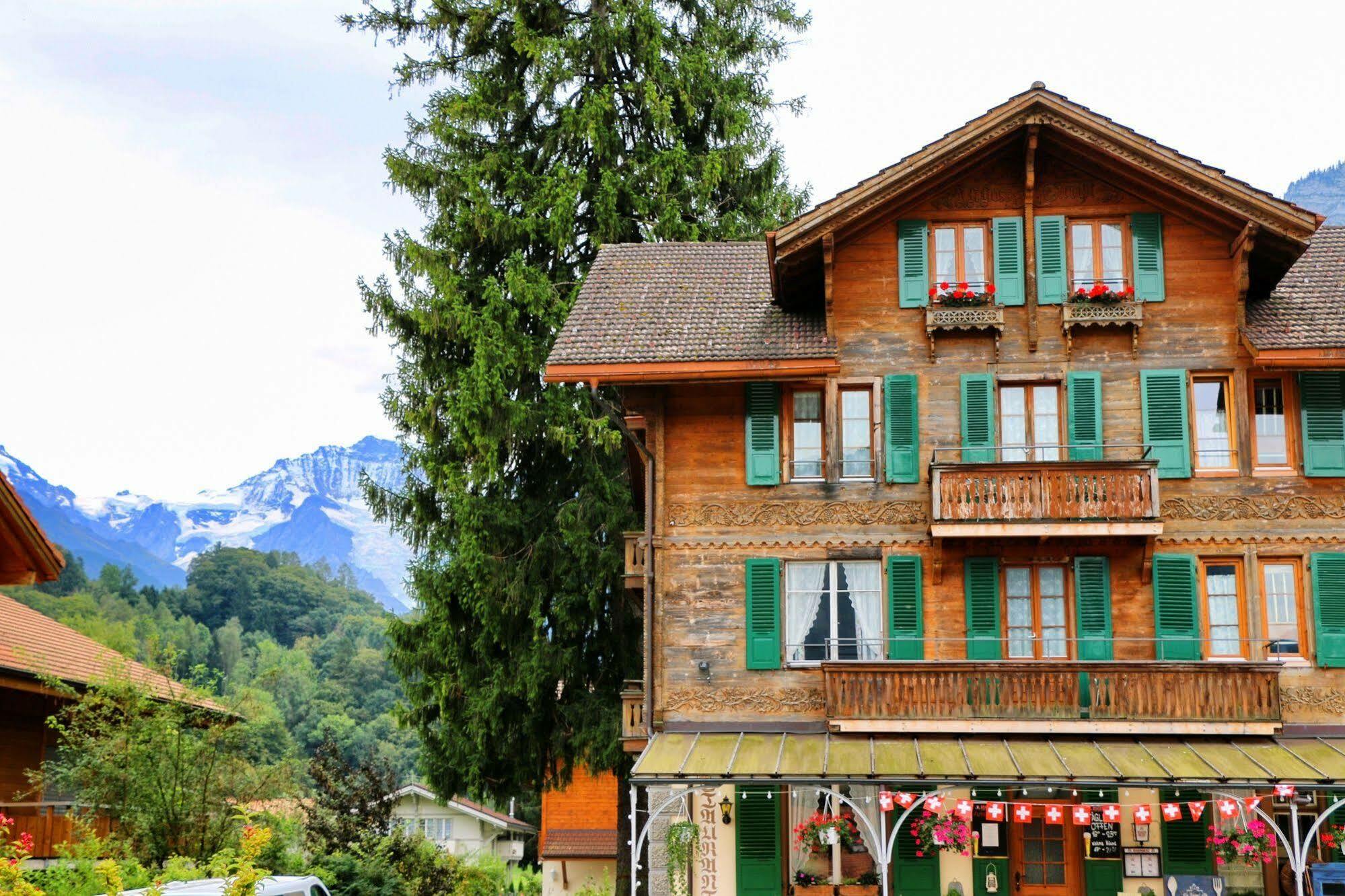Edelweiss Lodge Wilderswil Εξωτερικό φωτογραφία