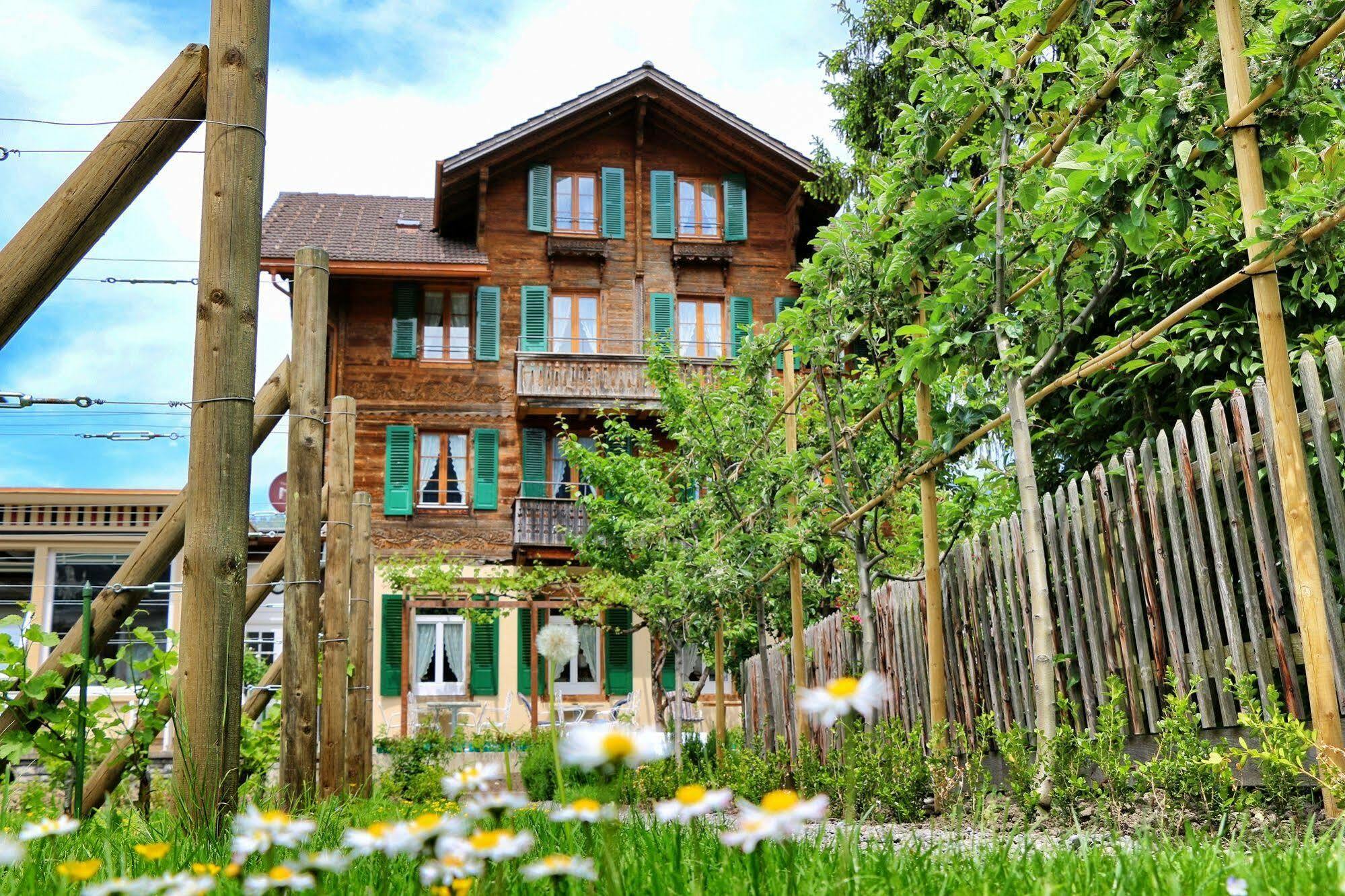Edelweiss Lodge Wilderswil Εξωτερικό φωτογραφία