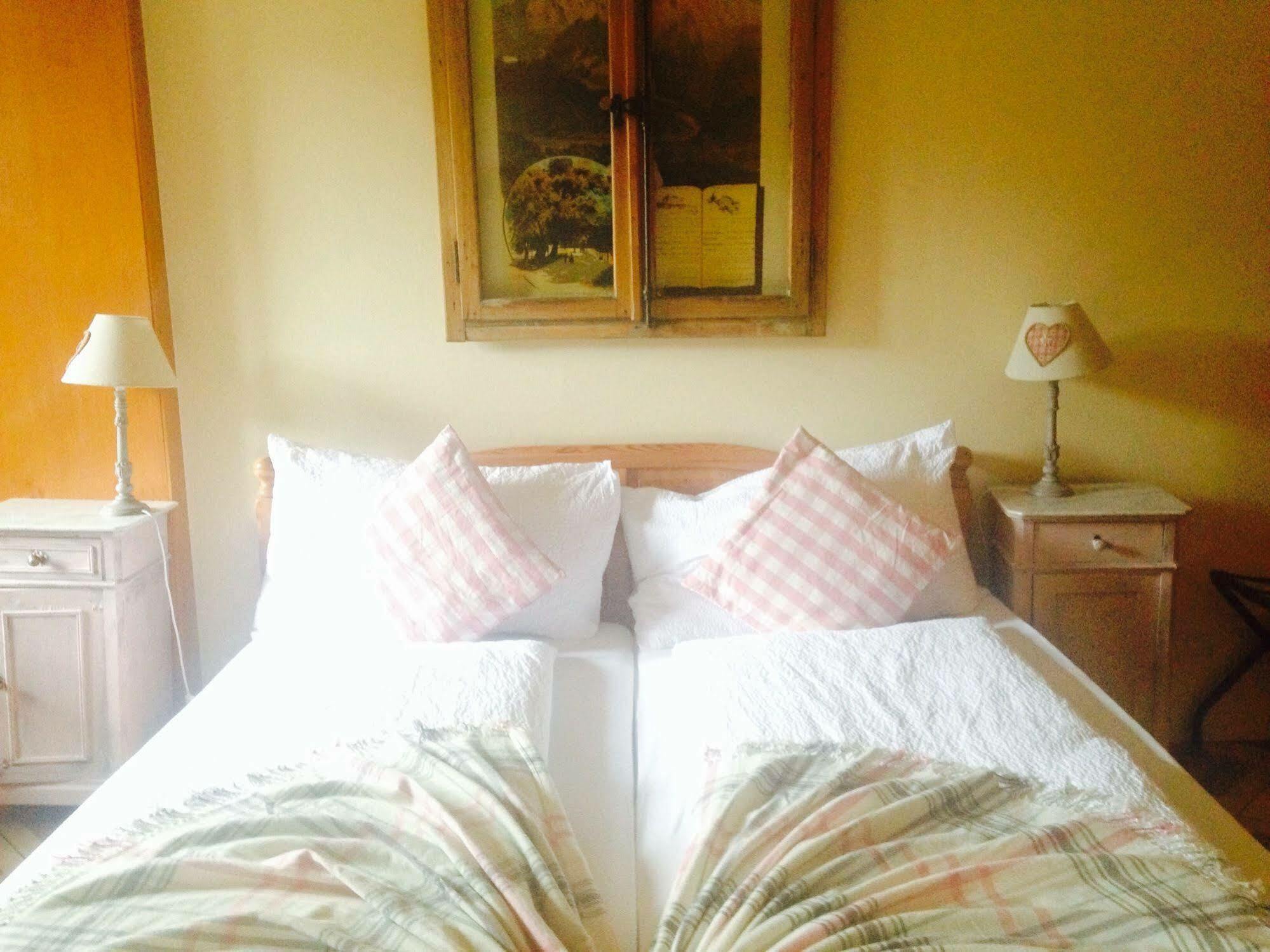 Edelweiss Lodge Wilderswil Εξωτερικό φωτογραφία